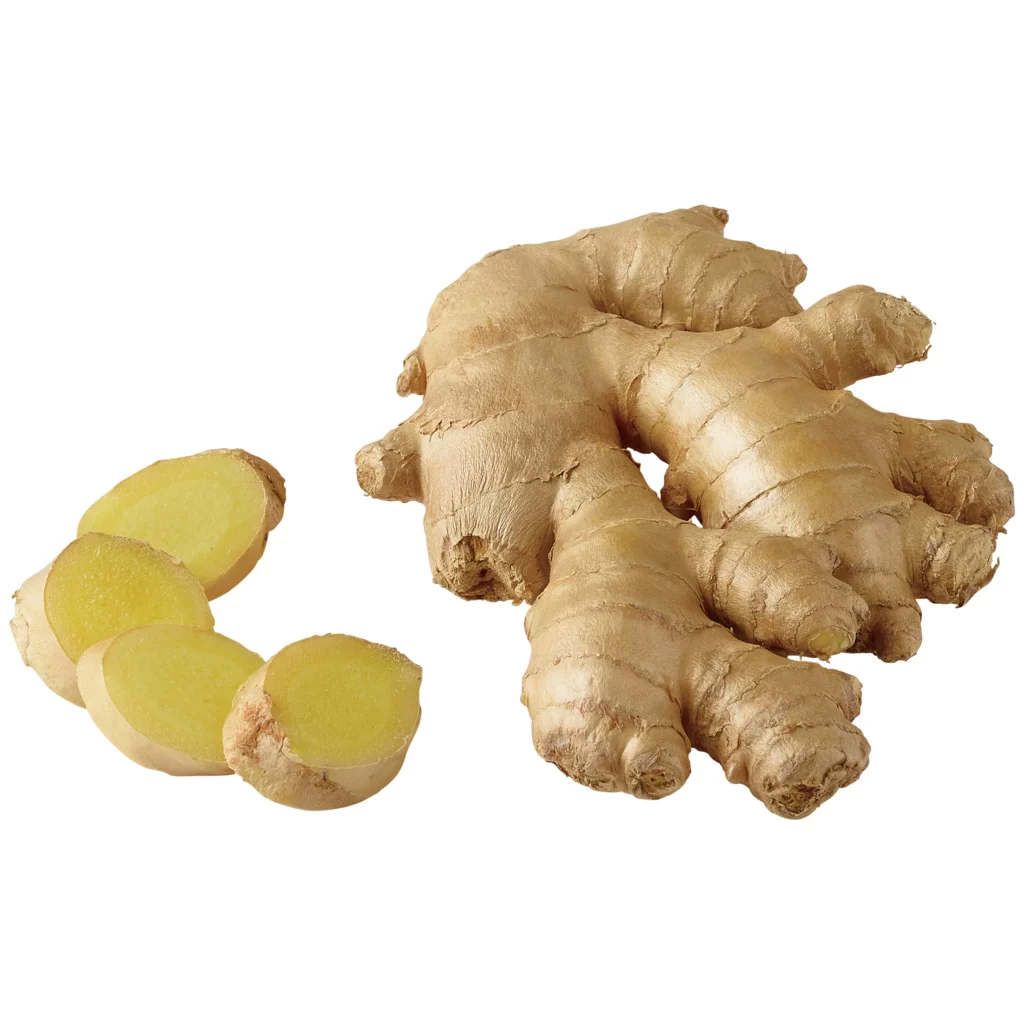 Ginger - Munch