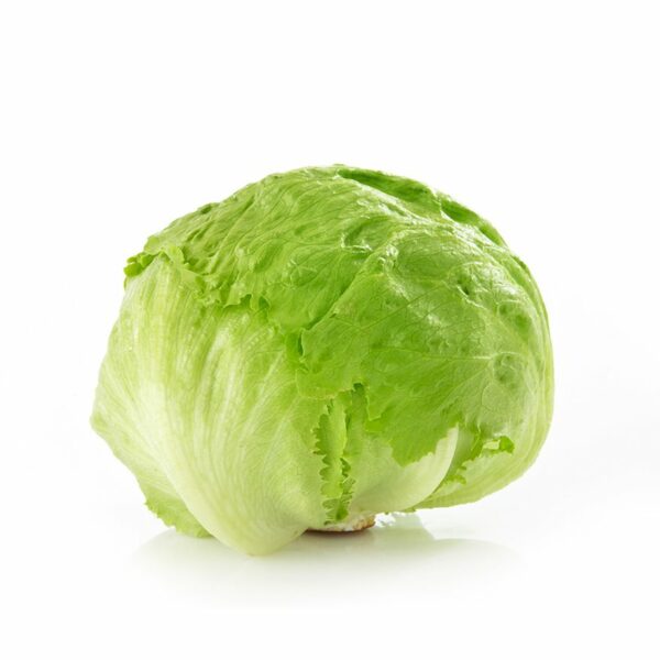 Iceberg Ready Cut