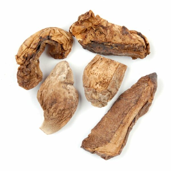 Mushroom Dried Porcini