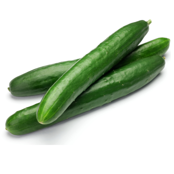 Cucumber Long